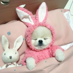 Meet your Posher, Sanna